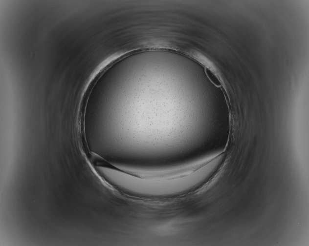 X0000086101141200704132142