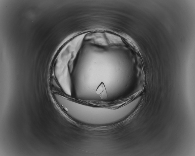 X0000086101142200704132142