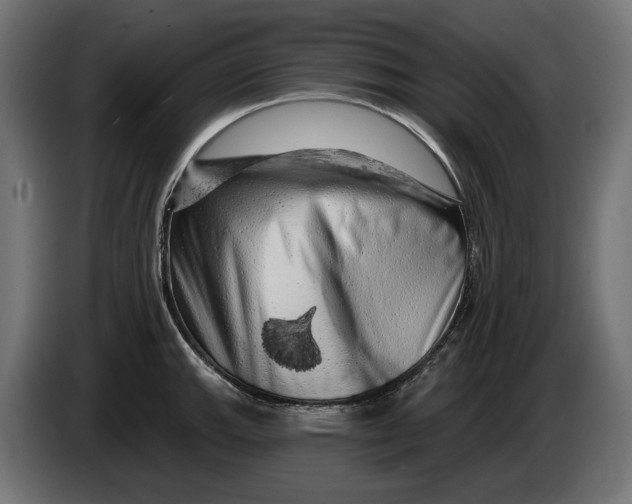 X0000086101143200704132142