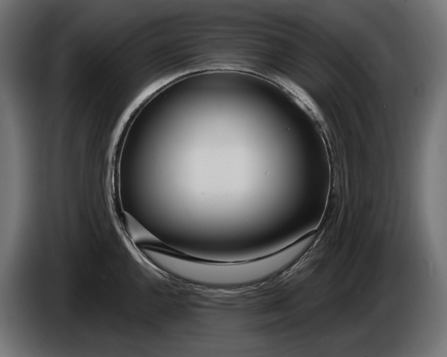 X0000086101144200704132142