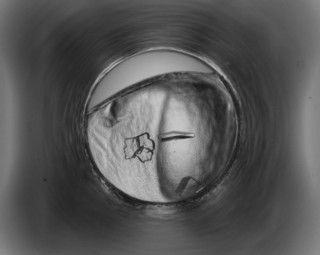 X0000086101145200704132142