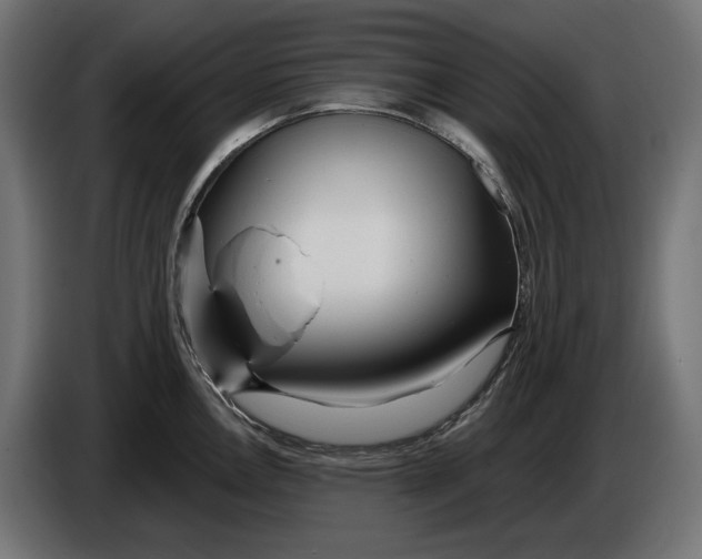 X0000086101146200704132142