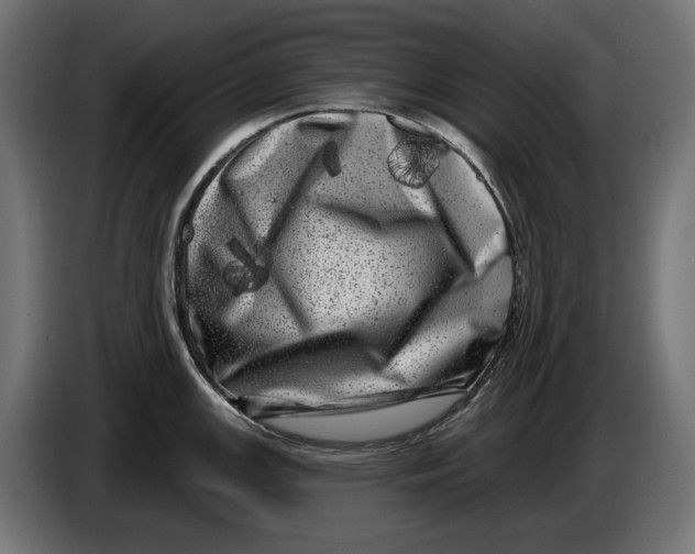 X0000086101147200704132142