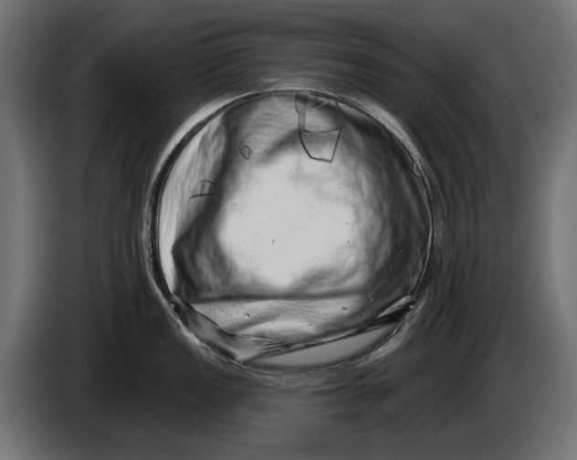 X0000086101149200704132142