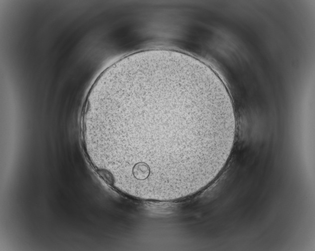 X0000086101150200704132142