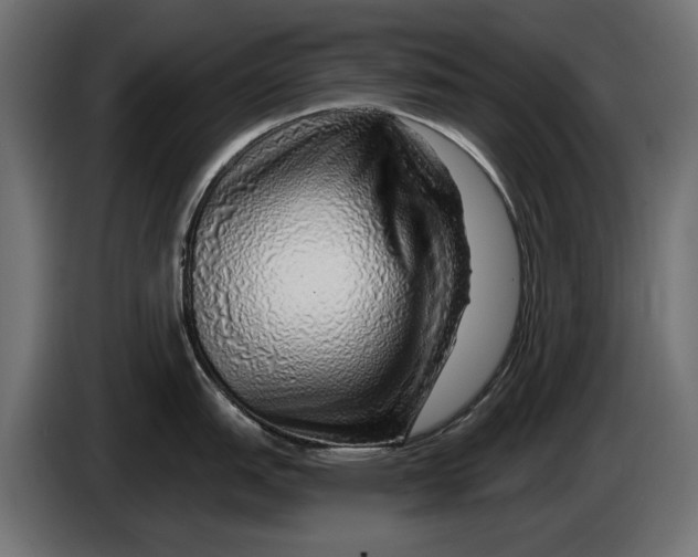 X0000086101151200704132142