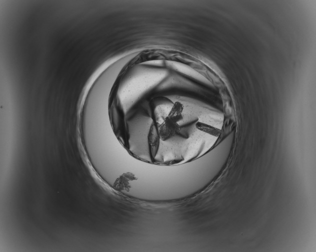 X0000086101152200704132142