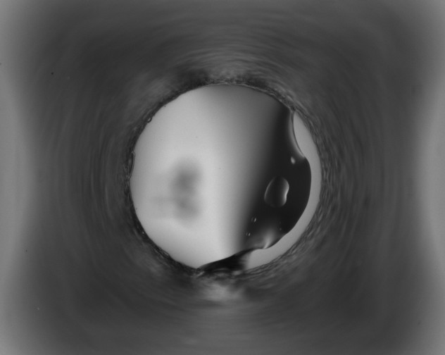 X0000086101153200704132141