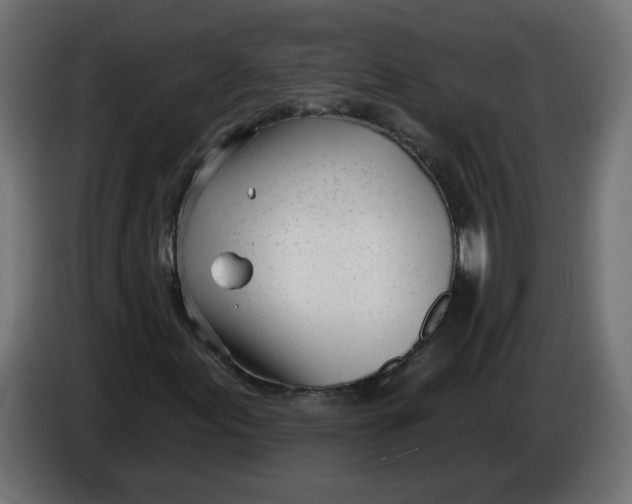 X0000086101155200704132141