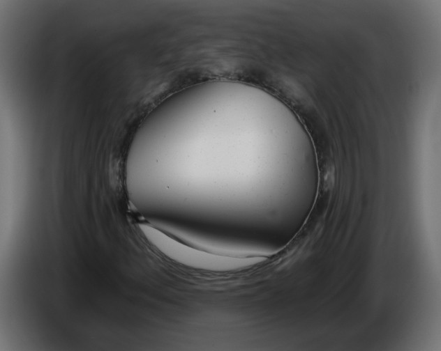 X0000086101156200704132141