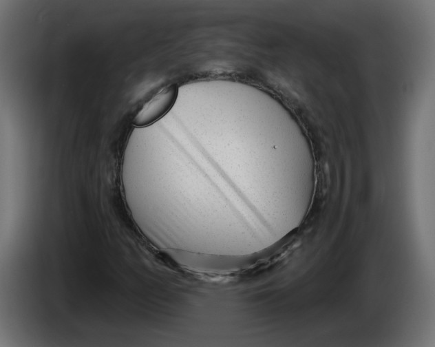X0000086101158200704132141