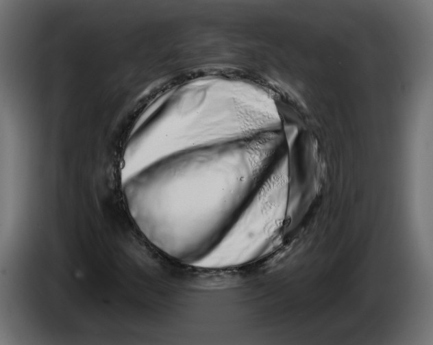 X0000086101159200704132141