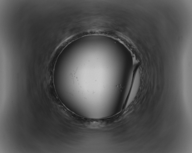 X0000086101160200704132141