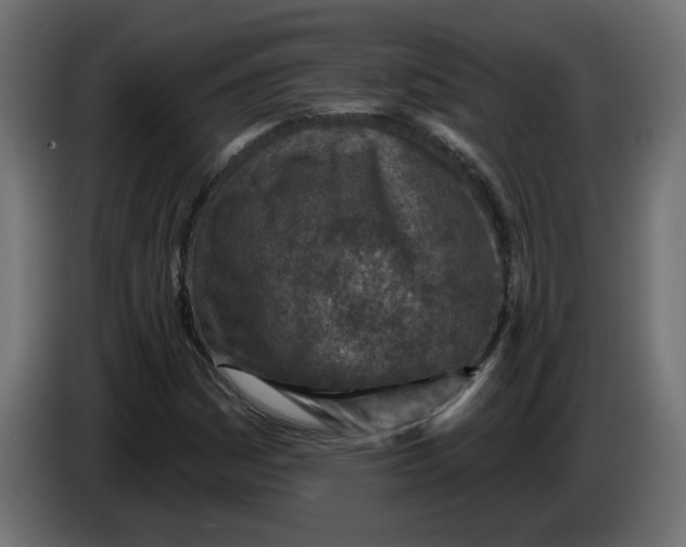 X0000086101161200704132141