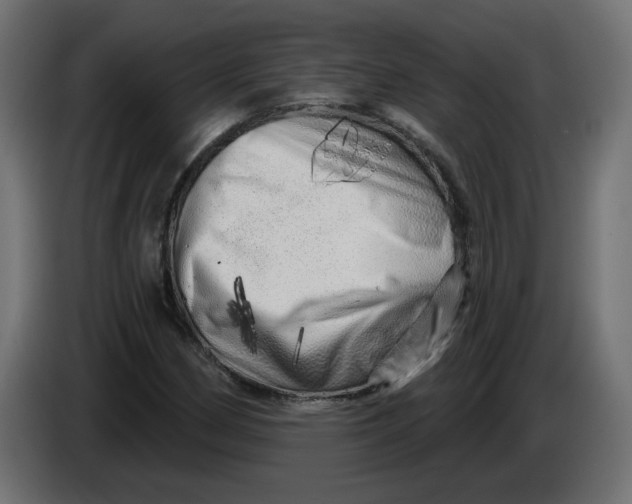X0000086101162200704132141