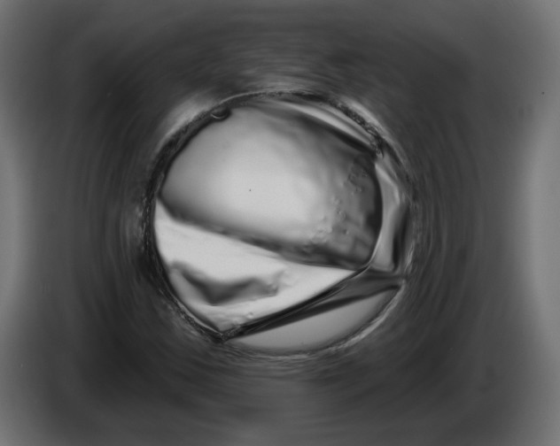 X0000086101163200704132141
