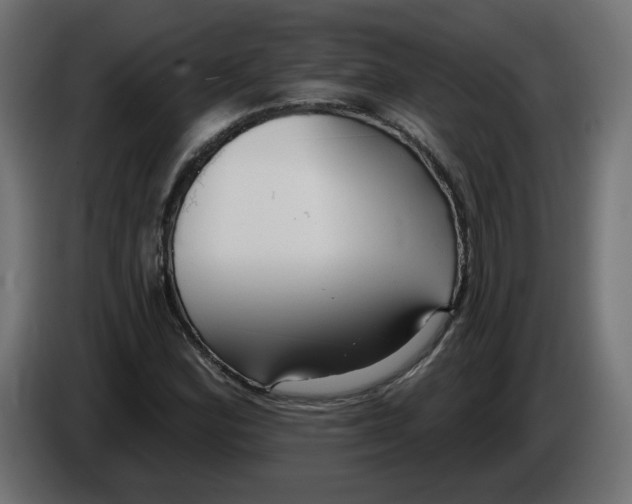 X0000086101164200704132141