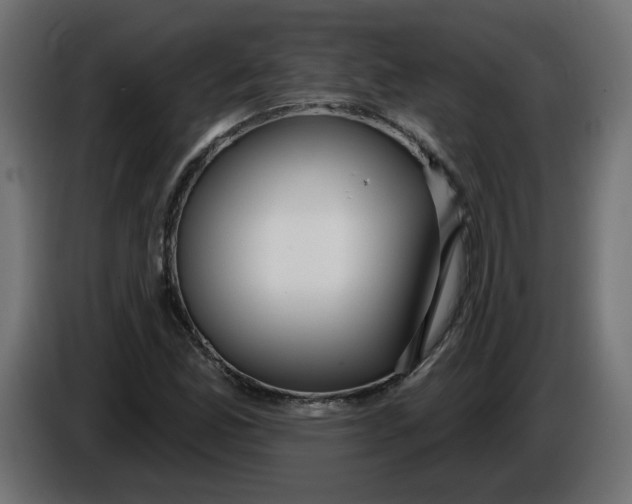 X0000086101165200704132141