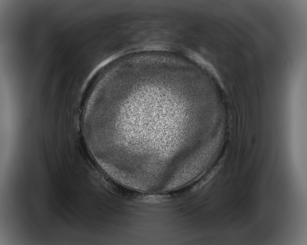 X0000086101166200704132141