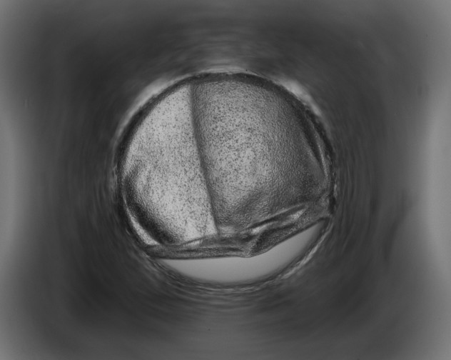 X0000086101167200704132141