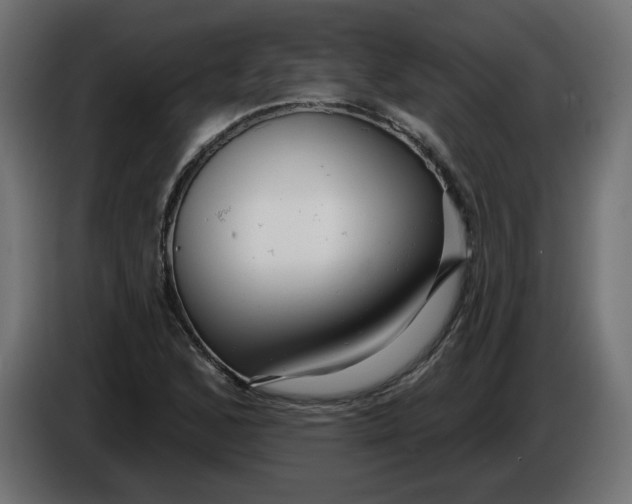 X0000086101168200704132141