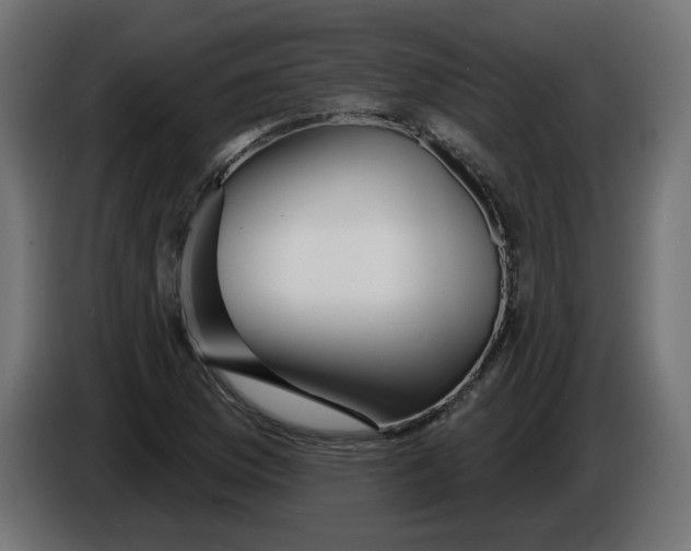 X0000086101169200704132141