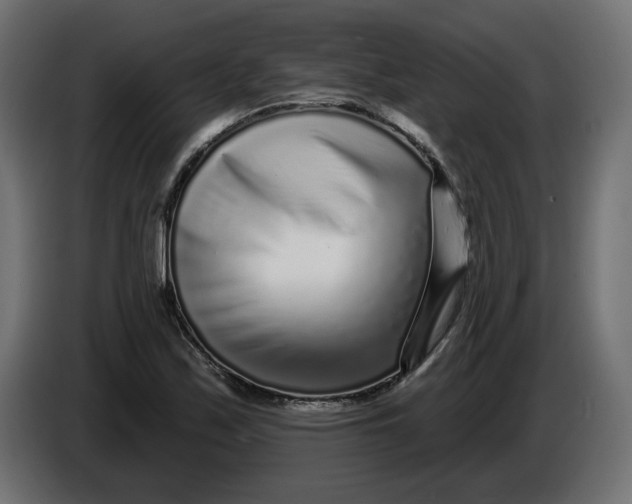 X0000086101171200704132141