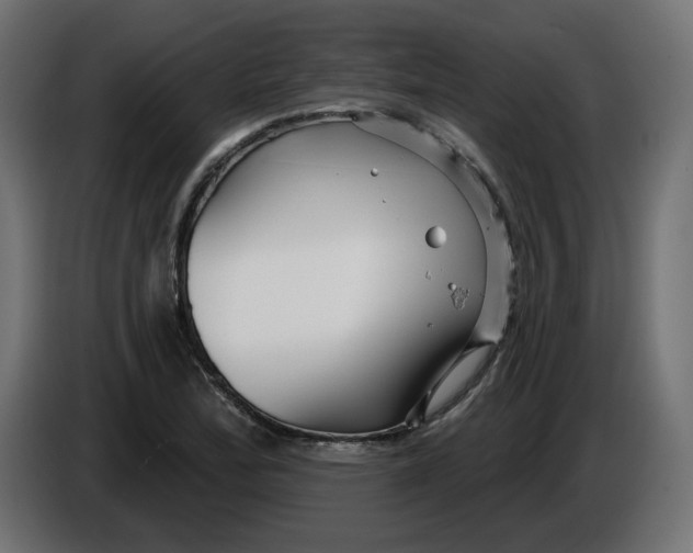 X0000086101172200704132141