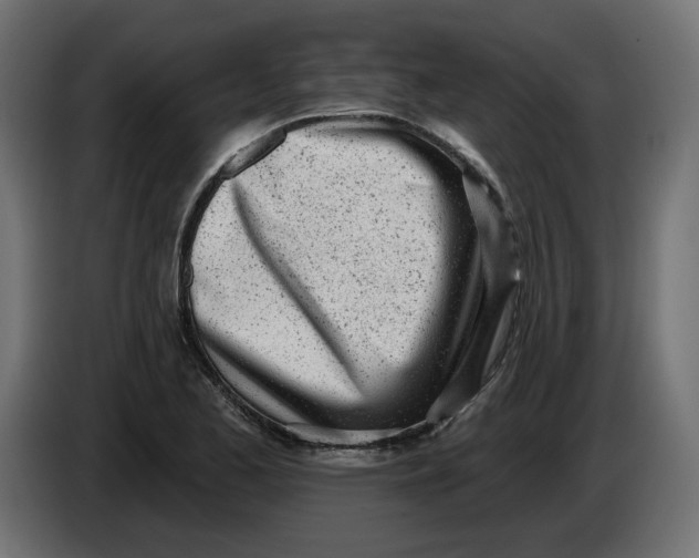 X0000086101173200704132141