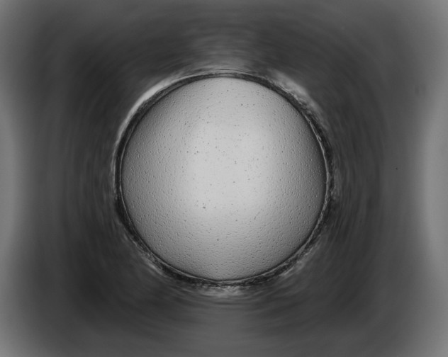 X0000086101174200704132141