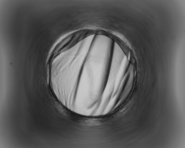 X0000086101175200704132141