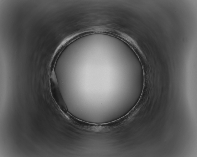 X0000086101176200704132141