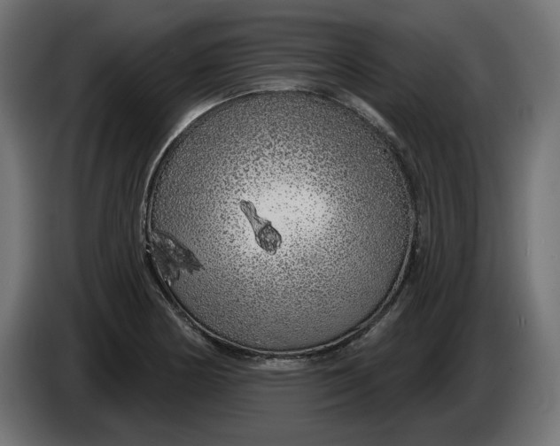 X0000086101178200704132141