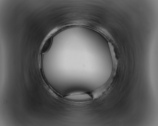 X0000086101180200704132141