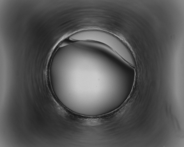 X0000086101181200704132141