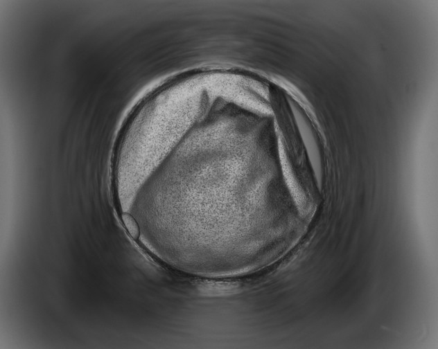 X0000086101183200704132141