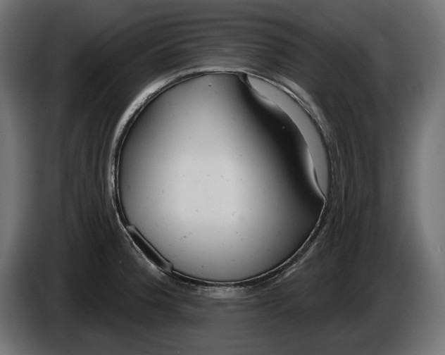 X0000086101188200704132141