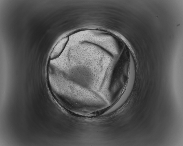 X0000086101191200704132140