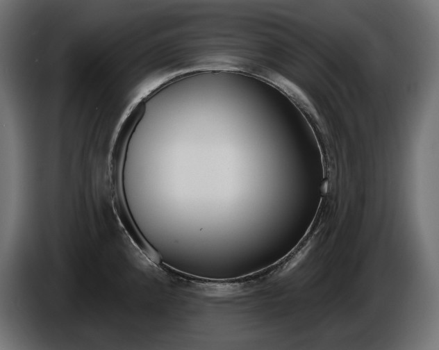 X0000086101192200704132140