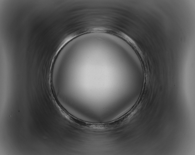X0000086101194200704132140