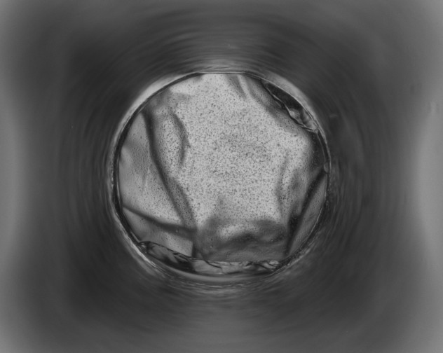 X0000086101195200704132140