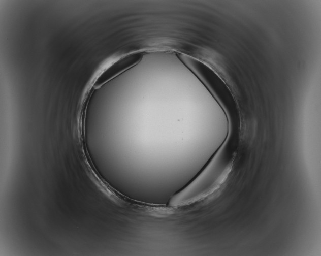 X0000086101196200704132140