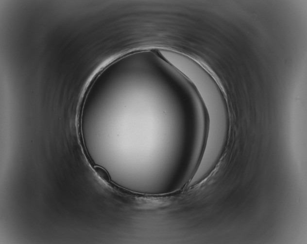 X0000086101197200704132140