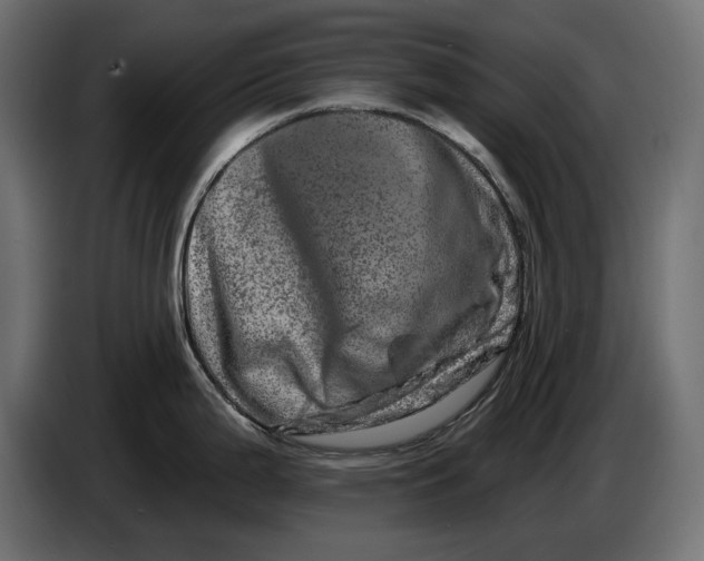 X0000086101199200704132140