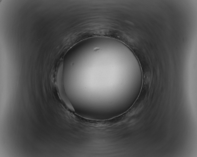 X0000086101202200704132140
