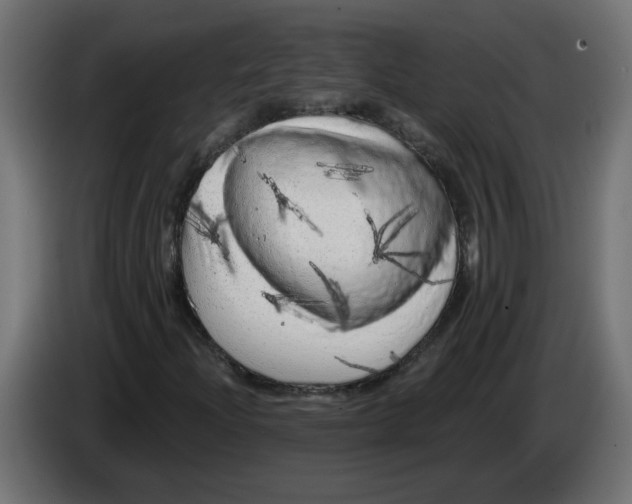 X0000086101204200704132140