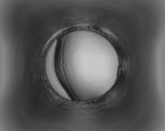 X0000086101208200704132140