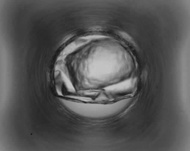 X0000086101209200704132140