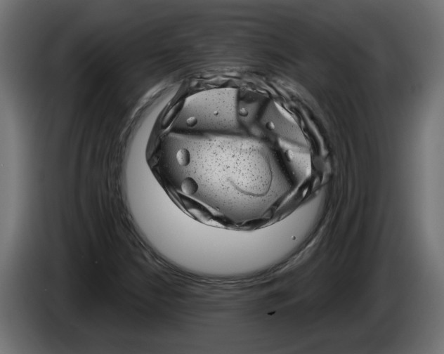 X0000086101210200704132140