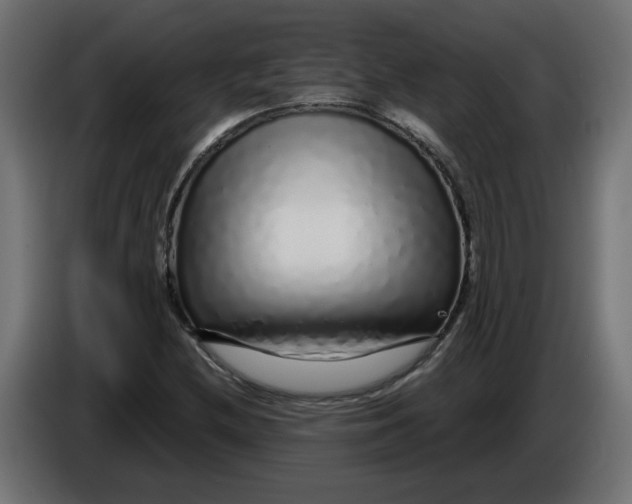 X0000086101212200704132140